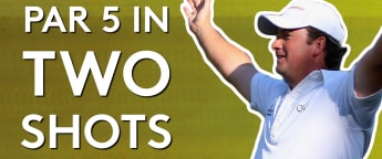 Best albatrosses on Tour 