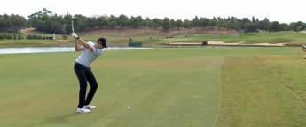 Brown's textbook eagle at 12