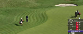 David Horsey chips in at the ninth