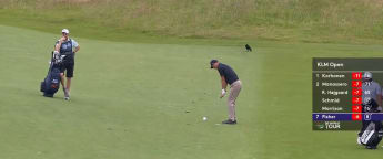 Former KLM Open champion Ross Fisher sets up tap-in birdie
