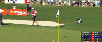 Dan Brown holes out from bunker at 13th