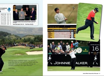 Bjorn Again: 2011 review