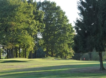 Waterloo an old-style treasure