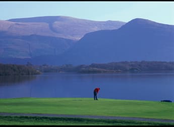 Need assistance - check out the FAQs