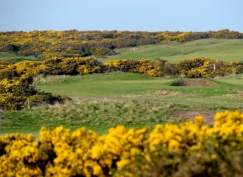 Four outstanding courses announced for 2016 Senior Open Championship Presented by Rolex