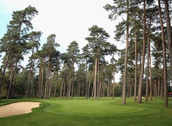 The Lowdown: Travis Perkins Masters