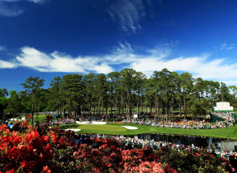 The Darling Buds of April at Augusta