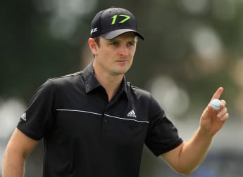 Rose grows healthy advantage