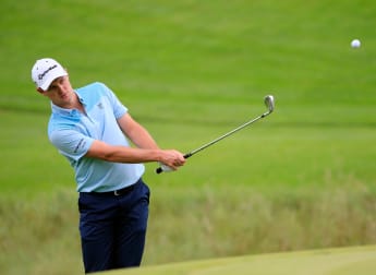 Rose flourishing in New Jersey