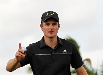 Rose in full bloom in Miami