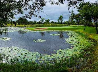 SDC Open: Tournament Guide