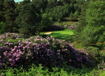 Inside the Duke's Course with Des Smyth