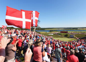 Fans in Denmark create atmosphere like no other