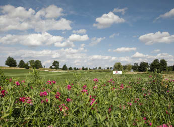 Everything you need to know about the D+D Real Czech Masters