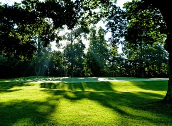 Skechers GO GOLF announced as official footwear partner of the Willow Senior Golf Classic