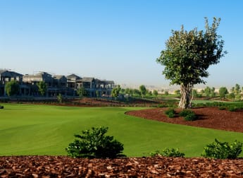Amateurs aim for Dubai spot