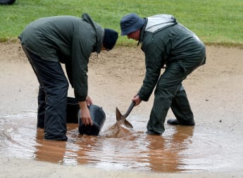 Final round pushed back in Madeira