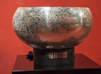 Made in Denmark trophy unveiled