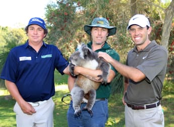 Stars meet Sunshine the Koala