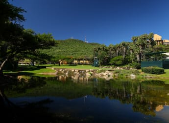 Everything you need to know about the 2022 Nedbank Golf Challenge