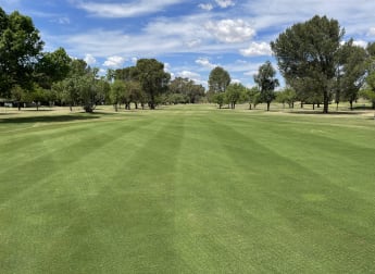 Tournament guide: Mangaung Open