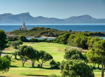 Spectator Information