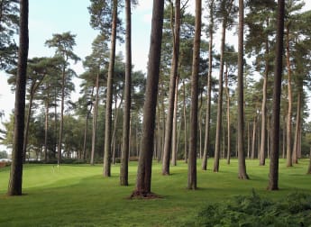 The Lowdown: Travis Perkins Masters