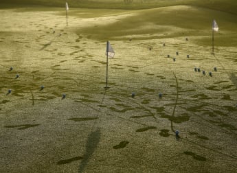 Qualifying School Day Two - Live Scoring