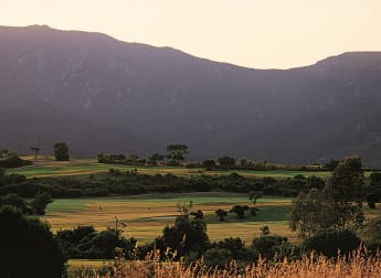 Five things you might have missed - Italian Challenge Open Eneos Motor Oil