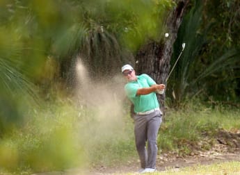 Fantastic Mr Fox enjoying European experience