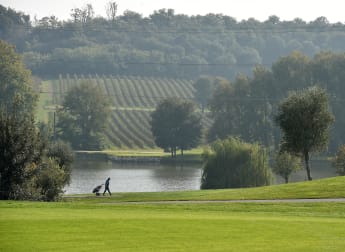 What happens when your ball hits a power line? 