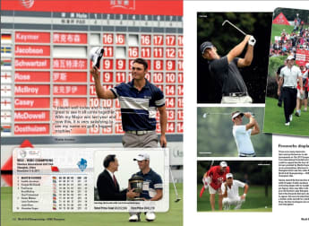 Fireworks display: 2011 review