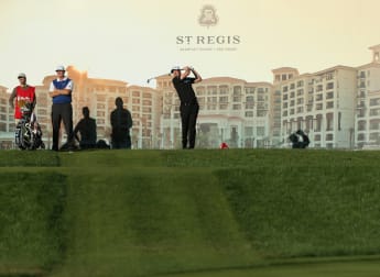 Rose blossoms in the desert