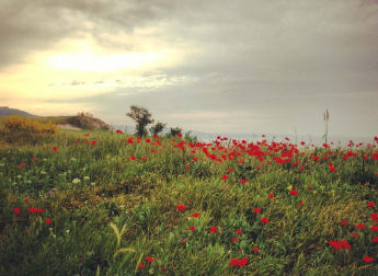 Fast start for form man Rumford