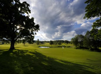 Swedish Challenge hosted by Robert Karlsson: in numbers