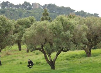 Day one digest: ISPS Handa Championship in Spain