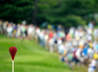 Origins of the wicker