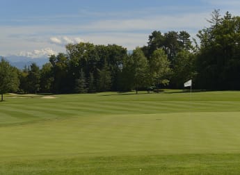 Rolex Trophy: In Numbers