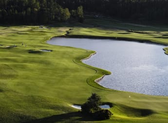 Tournament guide: Dormy Open