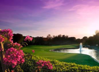 Turkish host venue a National treasure