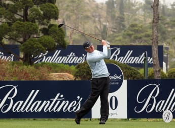 Finch off to a flyer