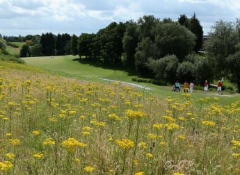 SCORES: Stoke by Nayland