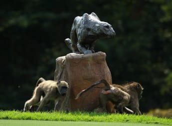 Genworth Stats Pack - Round 3 Review