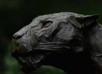 Lightning delays restart at Leopard Creek