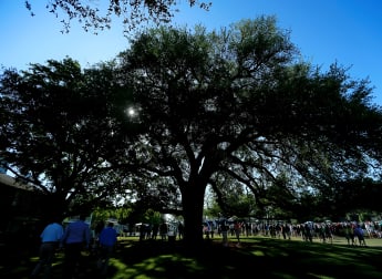 Augusta loses iconic Eisenhower Tree 