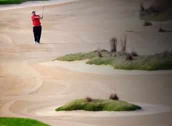 Reed wins November Shot of the Month