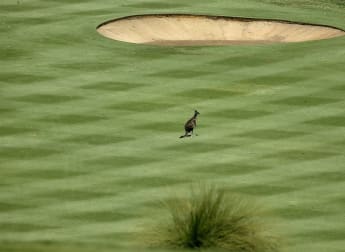 Perth International returns to Lake Karrinyup