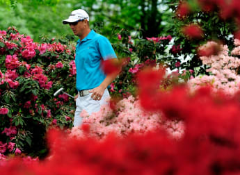 European Tour in full bloom