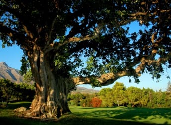 Open de Andalucía returns to Aloha Golf for the third time