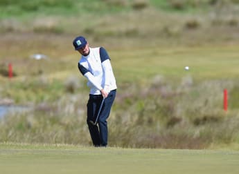Plant blooming in July sun